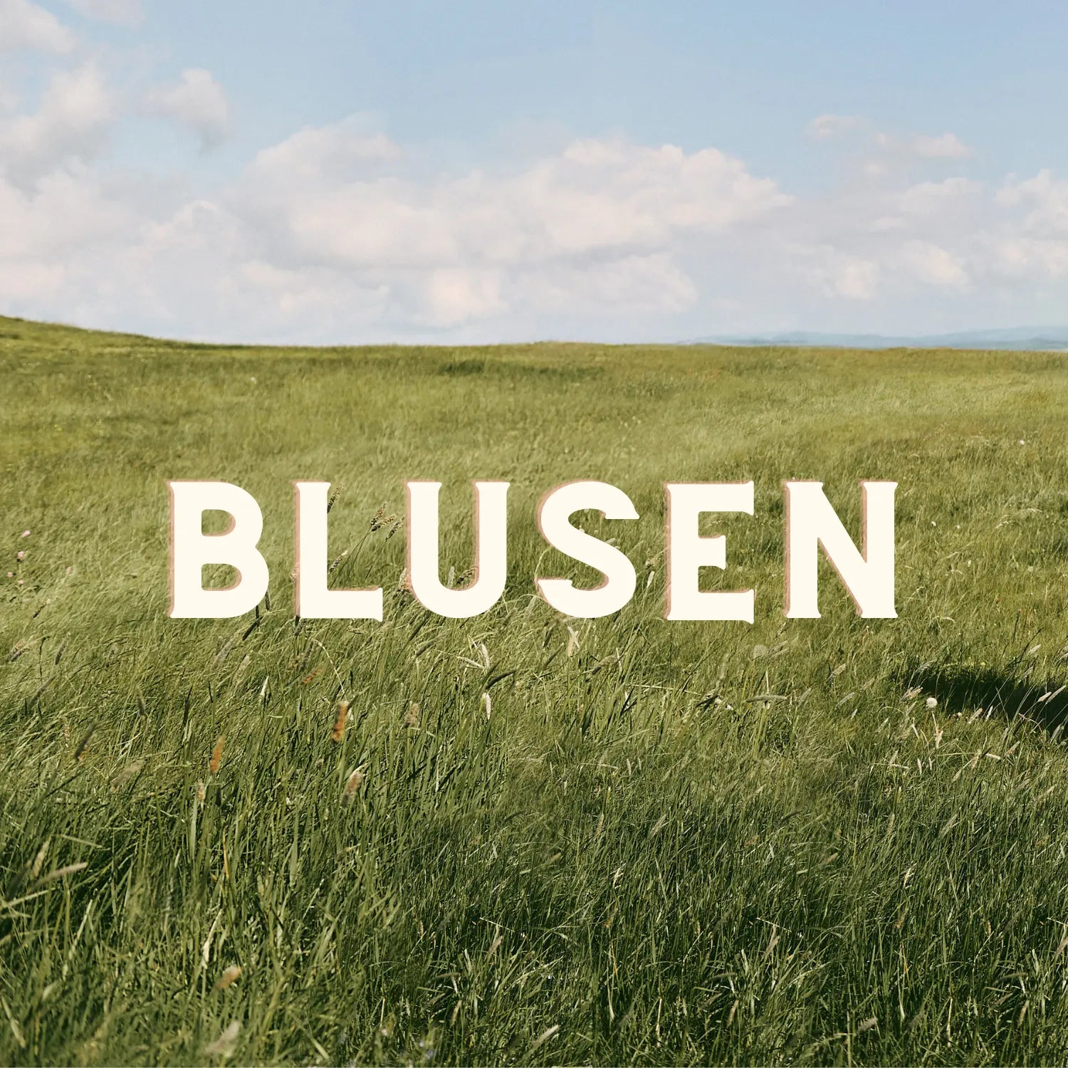 Blusen VON&ZU