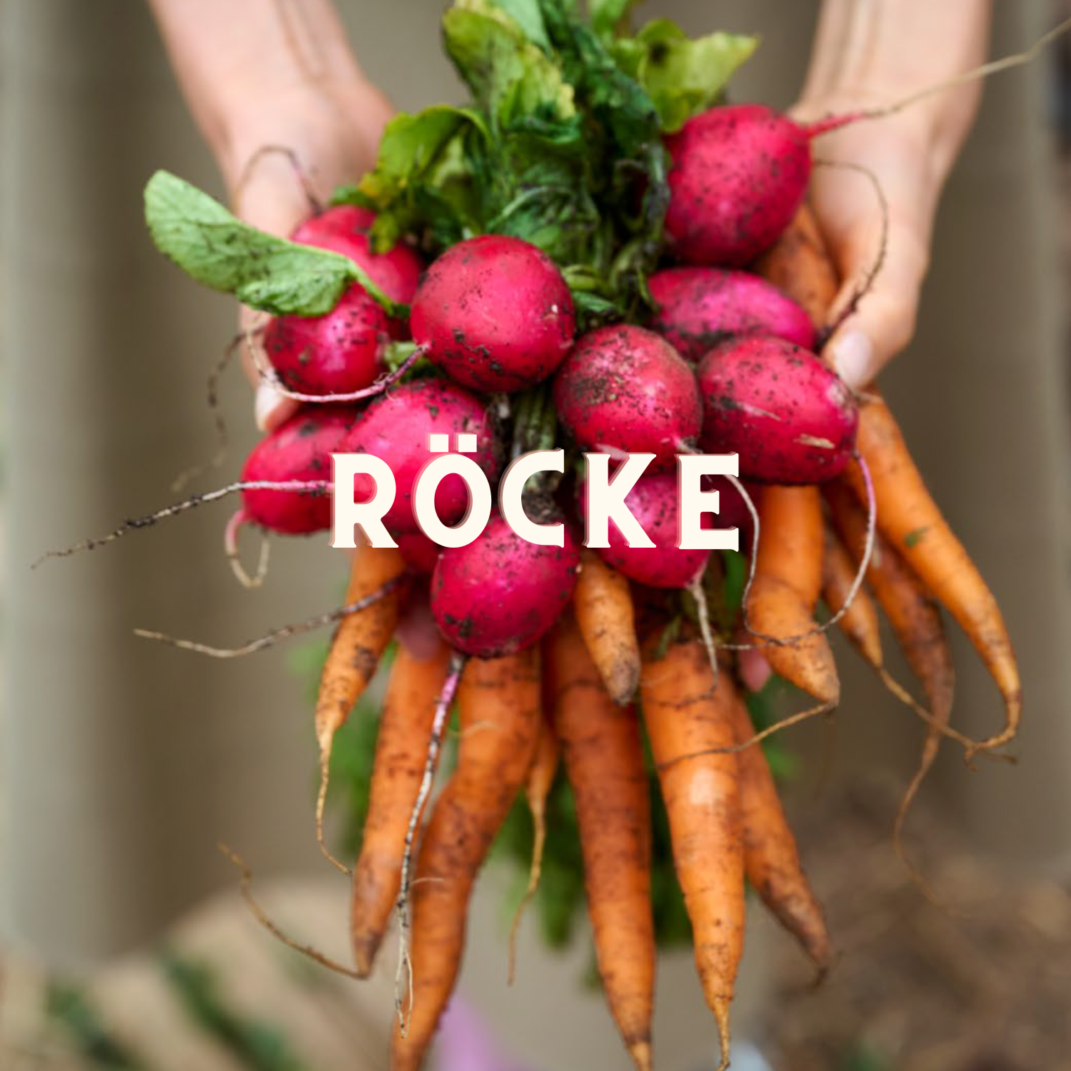 Röcke
