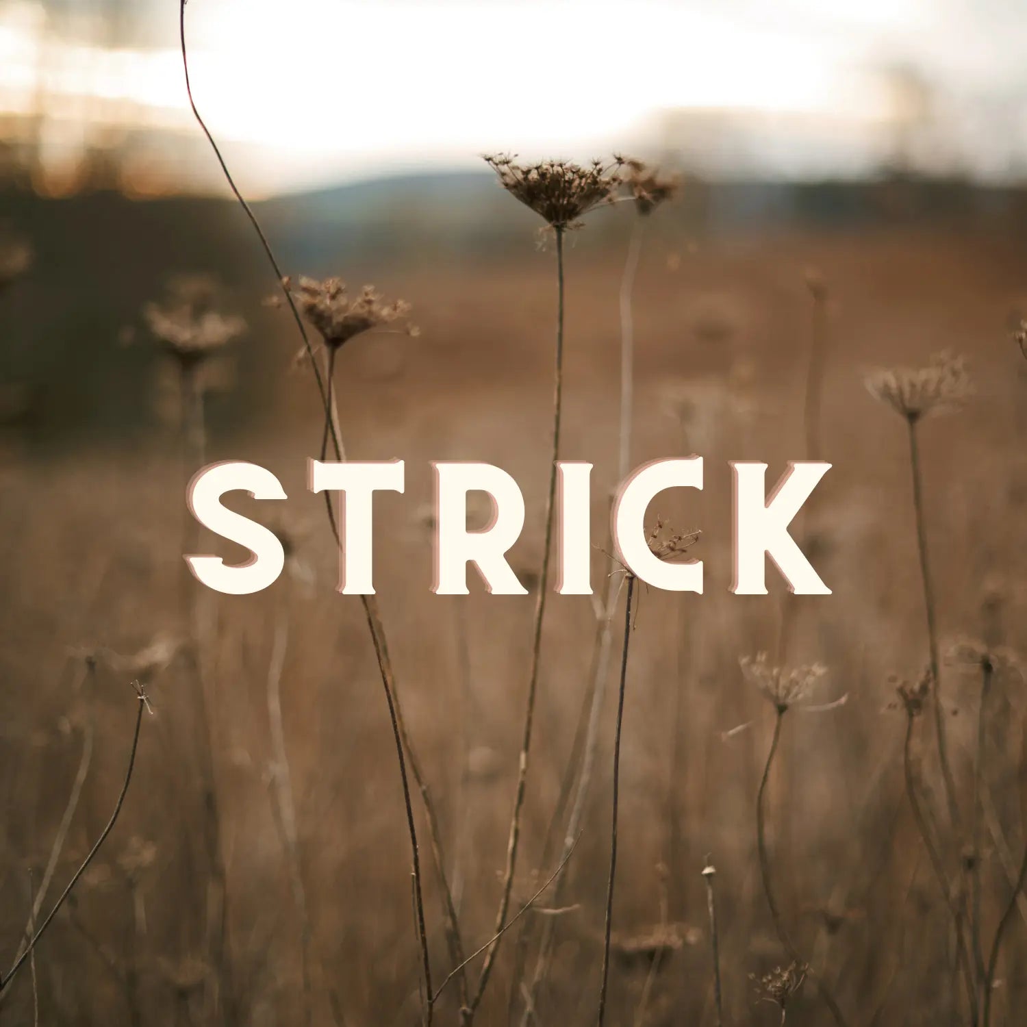 Strick VON&ZU